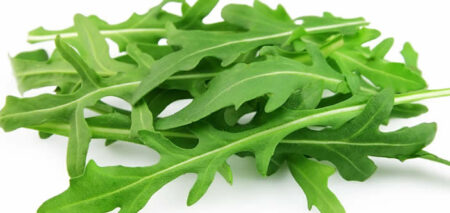 rucola